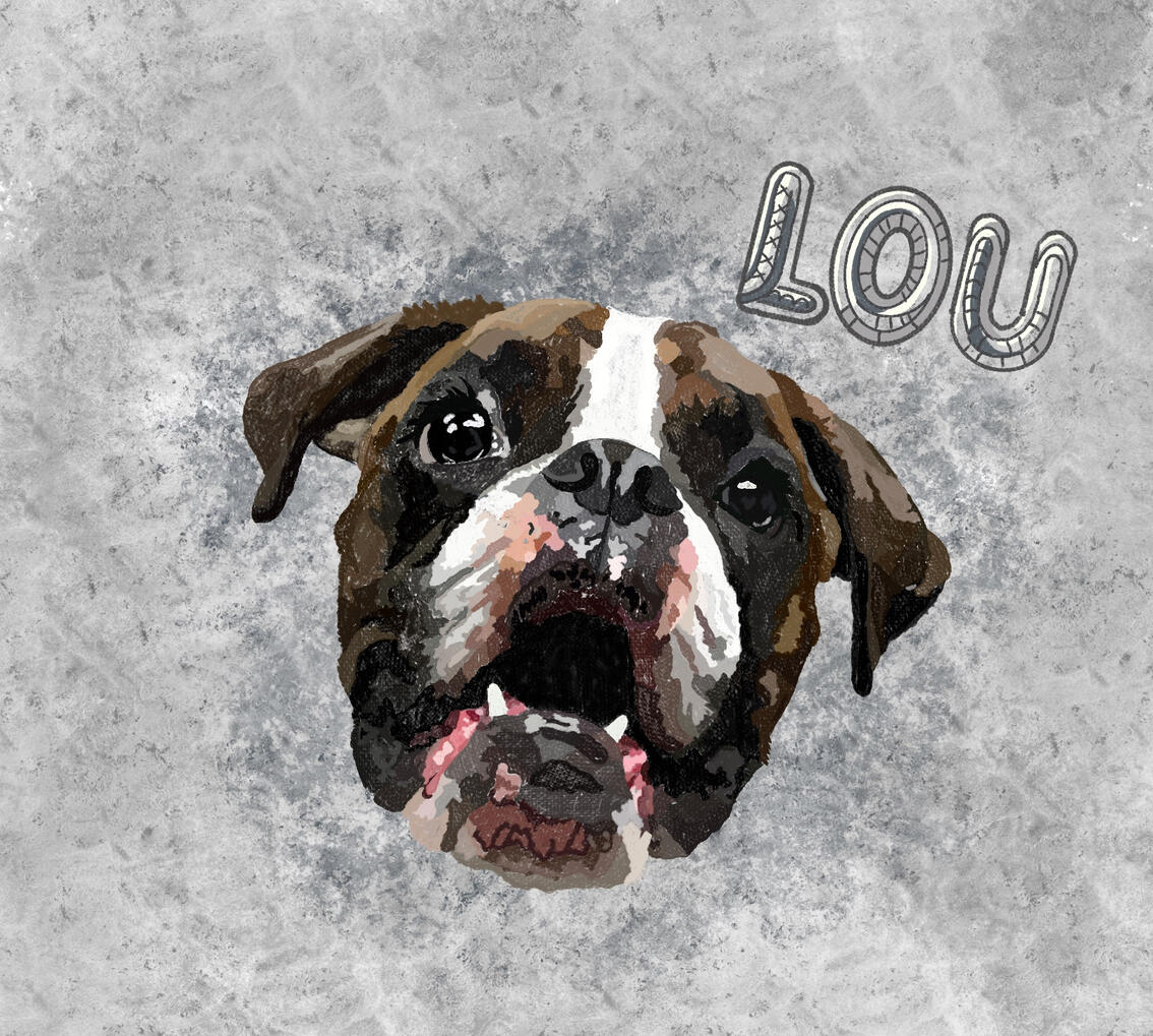 Lou Pet Portraits
